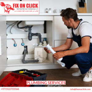 Plumbing Services