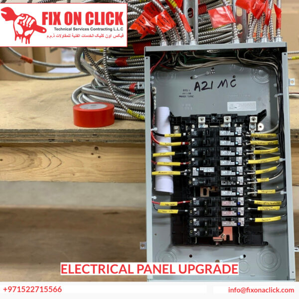 Panel Upgrade