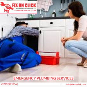 Emergency Plumbing Services