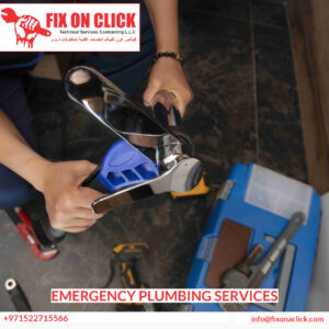 Emergency Plumbing Services