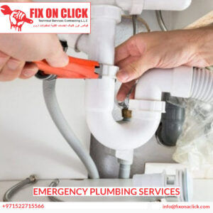 Emergency Plumbing Services