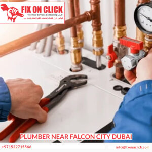 Plumber Near Falcon City Dubai