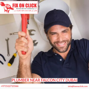 Plumber Near Falcon City Dubai