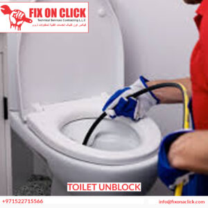Toilet Unblock