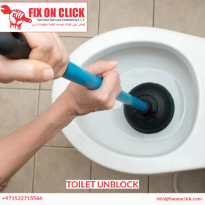 Toilet Unblock