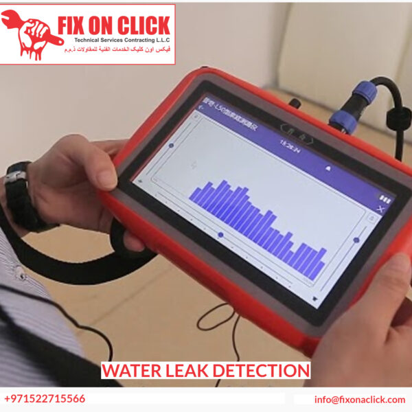 Professional Water Leak Detection Technicians