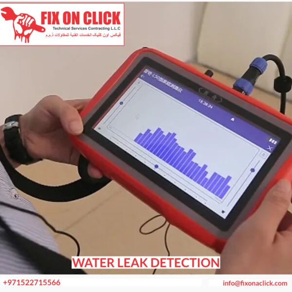 Professional Water Leak Detection Technicians