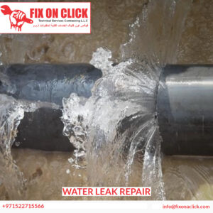 Water Leak Repair