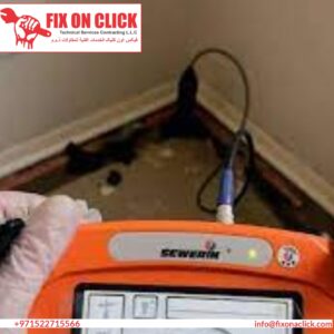Water Leak Detection Near Dubai Investment Park