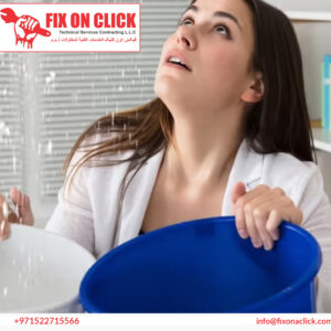 Water Leak Repair Near Al Furjan Dubai