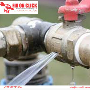 Water Leak Repair Near Al Karama Dubai