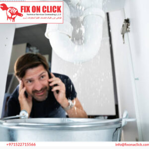 Water Leak Repair Near Al Mizhar Dubai