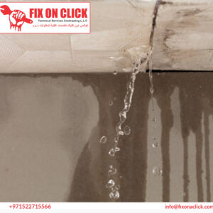 Water Leak Repair Near Downtown Dubai