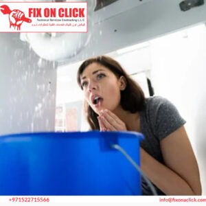 Water Leak Repair Near Dubai Hills Estate