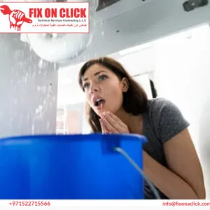 Water Leak Repair Near Dubai Hills Estate