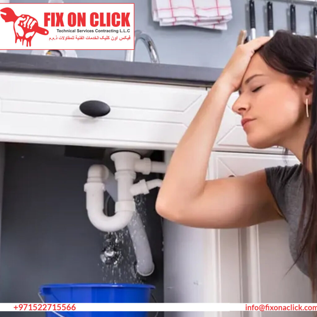 Water Leak Repair Near Dubai Investment Park