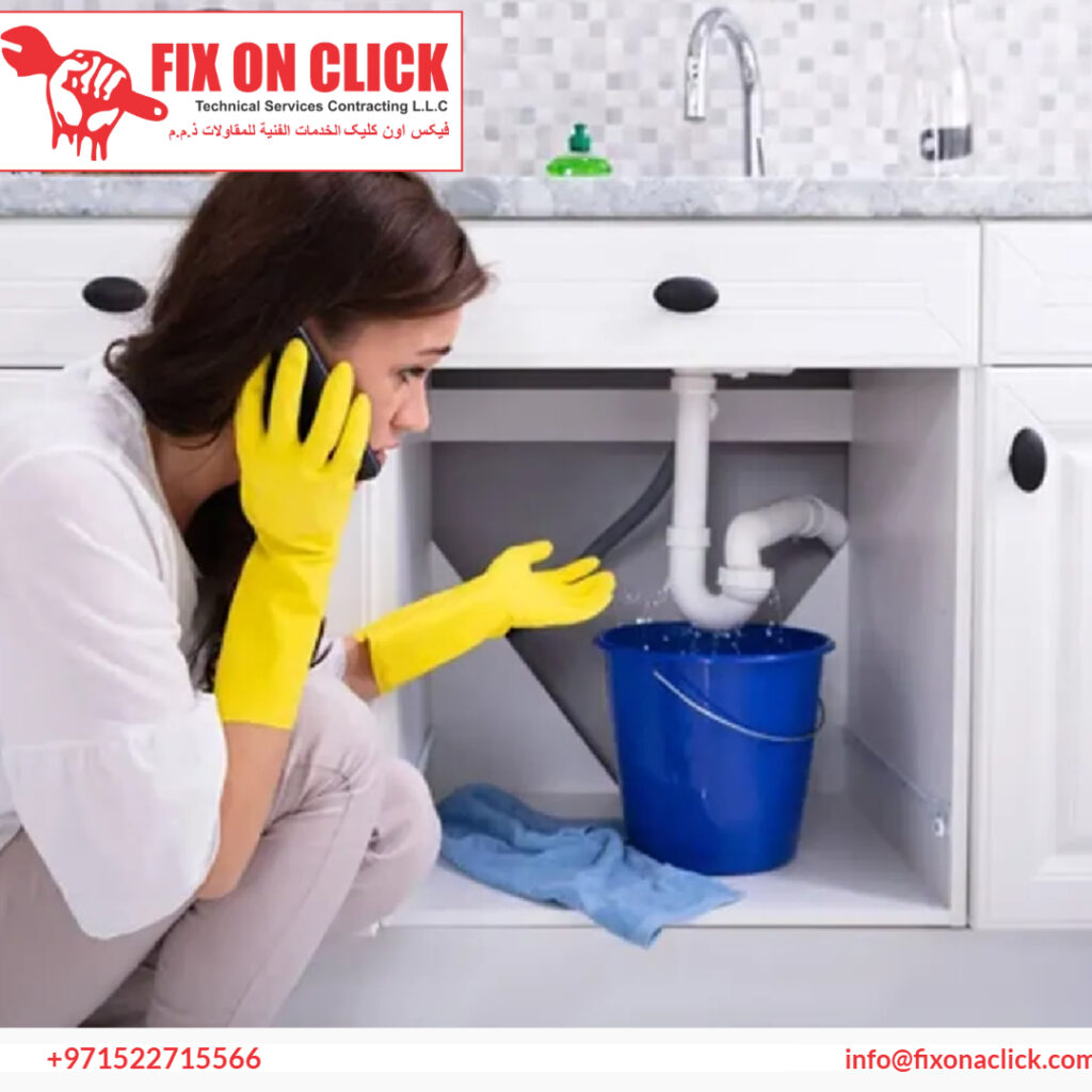 Water Leak Repair Near Jebel Ali Village Dubai
