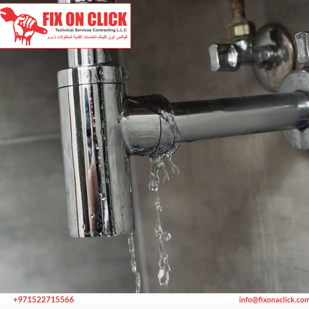 Water Leak Repair Near Jumeirah Park Dubai
