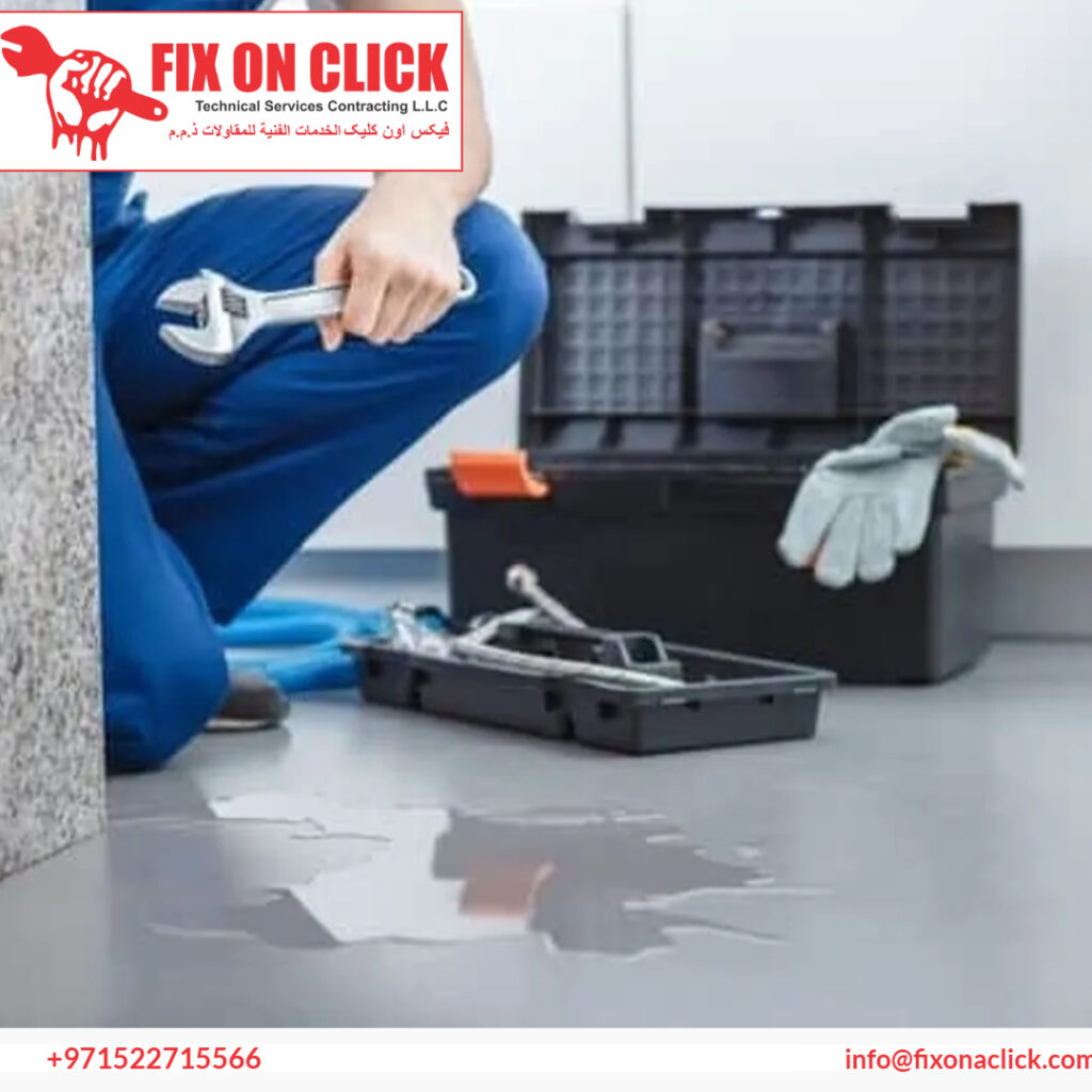 Water Leak Repair Near The Villa Dubai