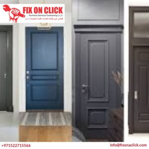 Interior Door Painting 