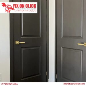 Interior Door Painting 